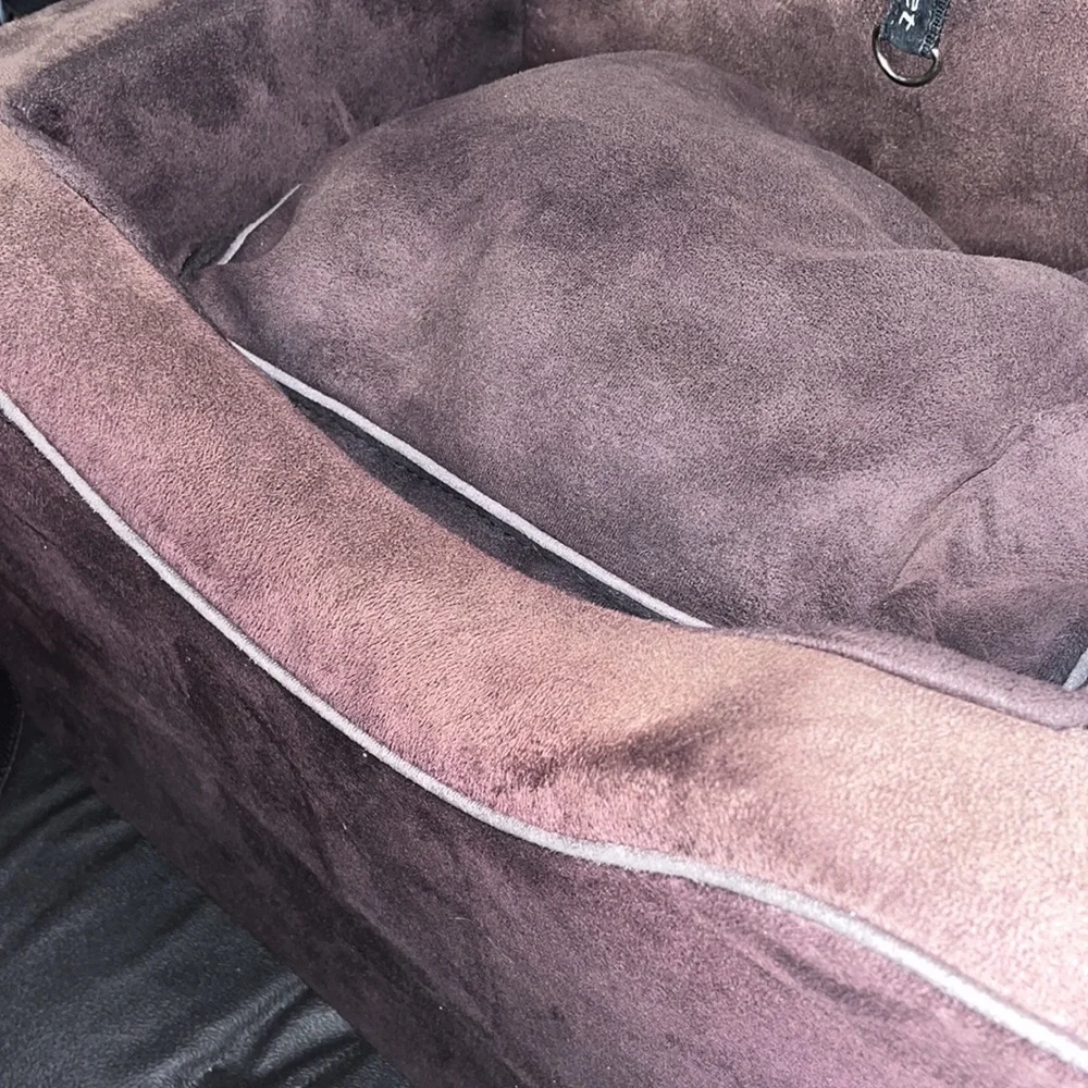 🚗 💺 🐶 • Paw 🐾 Car Ride Vibes 🐾• 🐶💺🚗